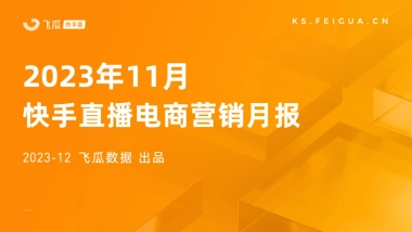 飞瓜快数：2023年11月快手直播电商营销月报