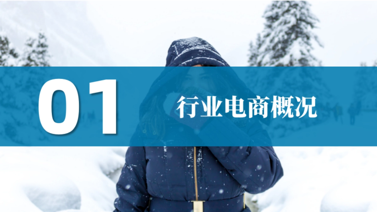 果集：2023年Q1-Q3羽绒服行业社媒电商营销洞察_第8页