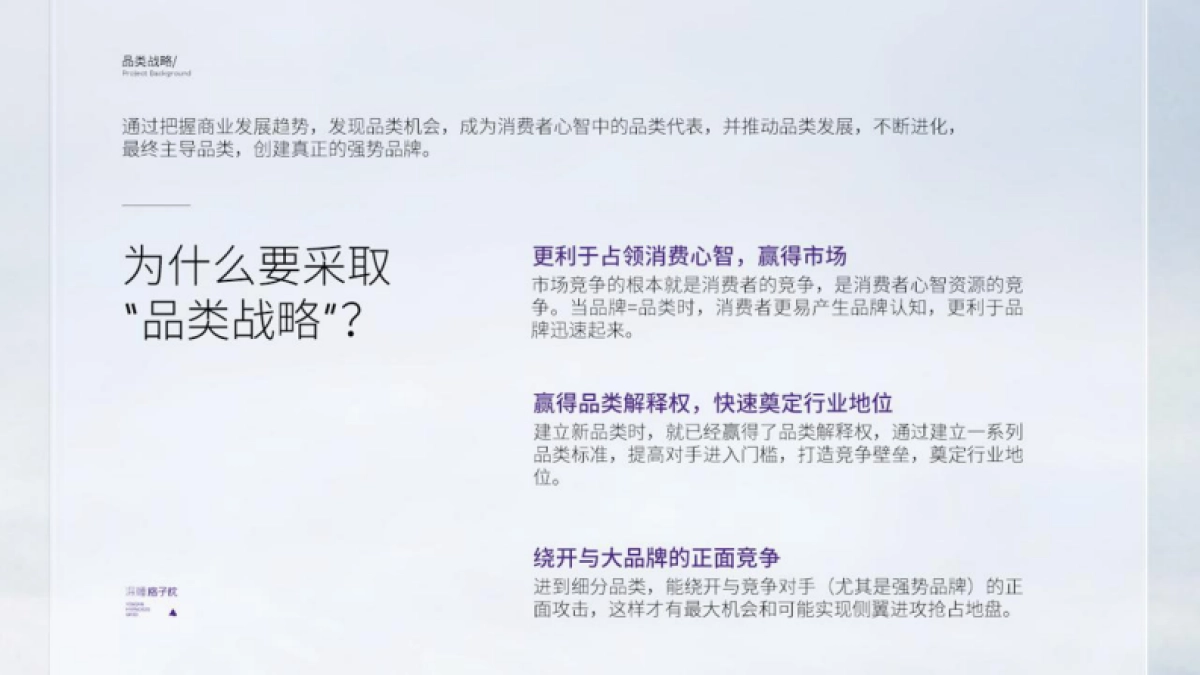 2023翼眠深睡格子品牌超级体系_第3页