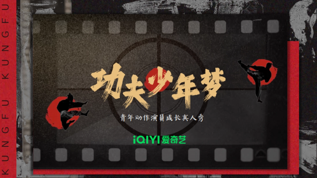 2024年爱奇艺自制综艺《功夫少年梦》招商方案-20231120_第1页