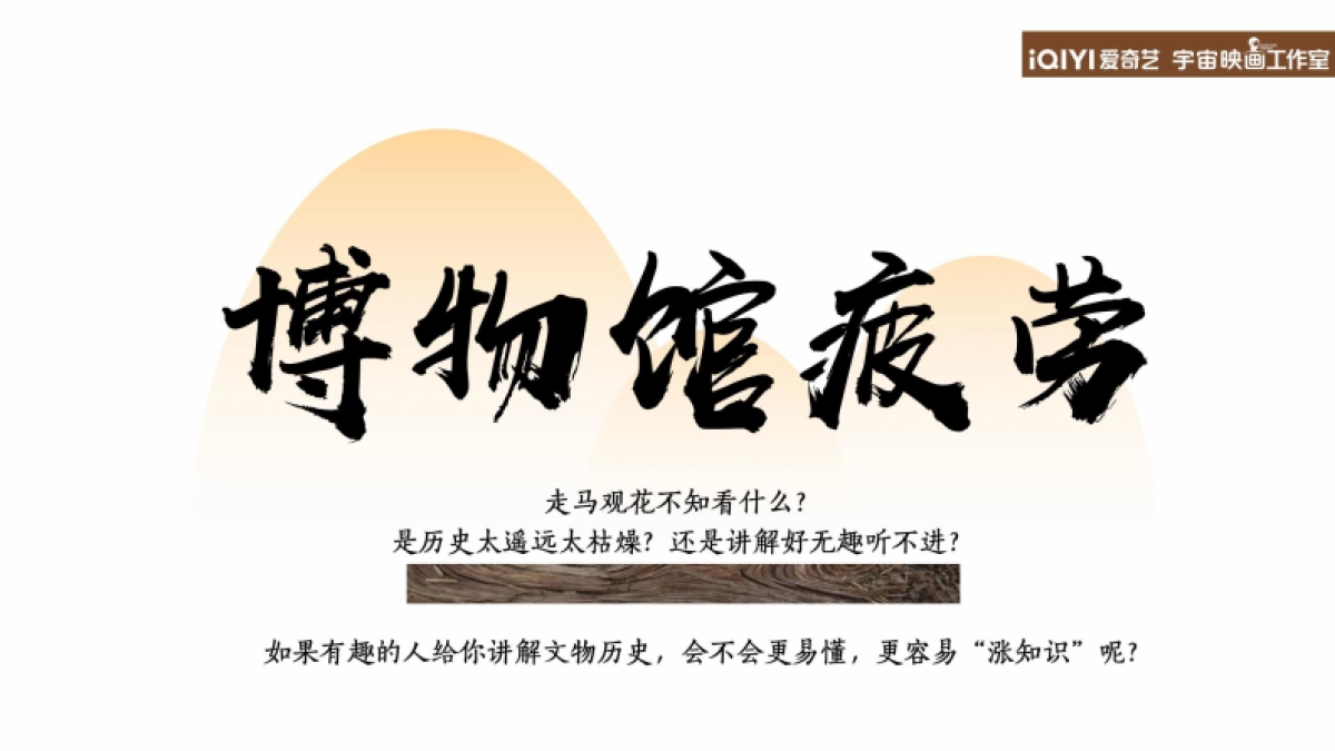 2024年爱奇艺自制综艺《我来当解说》节目招商方案_第6页