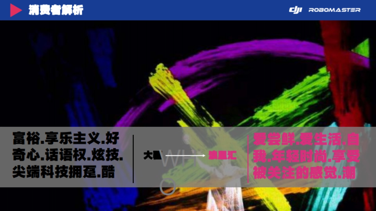 大疆-浪里汇合作思路方案_第4页