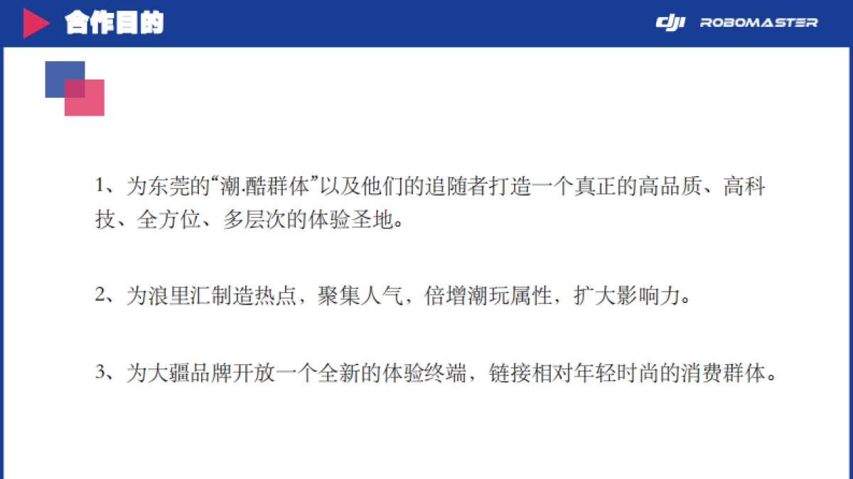 大疆-浪里汇合作思路方案_第5页
