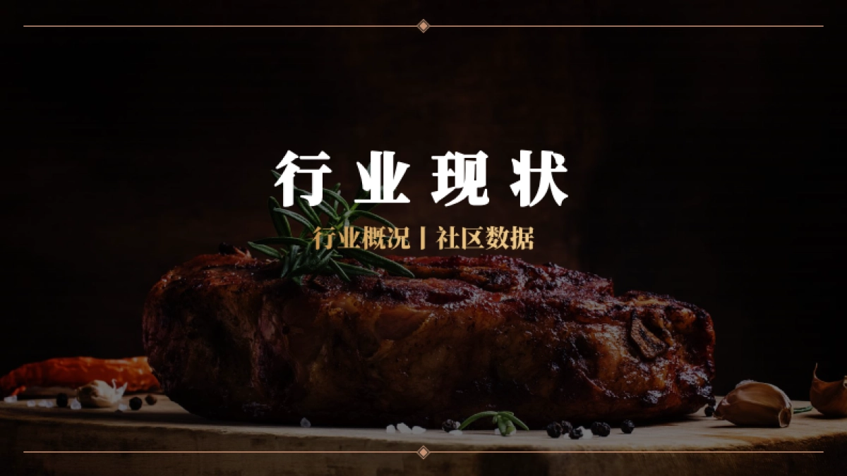 大希地牛排小红书年度投放规划方案_第9页