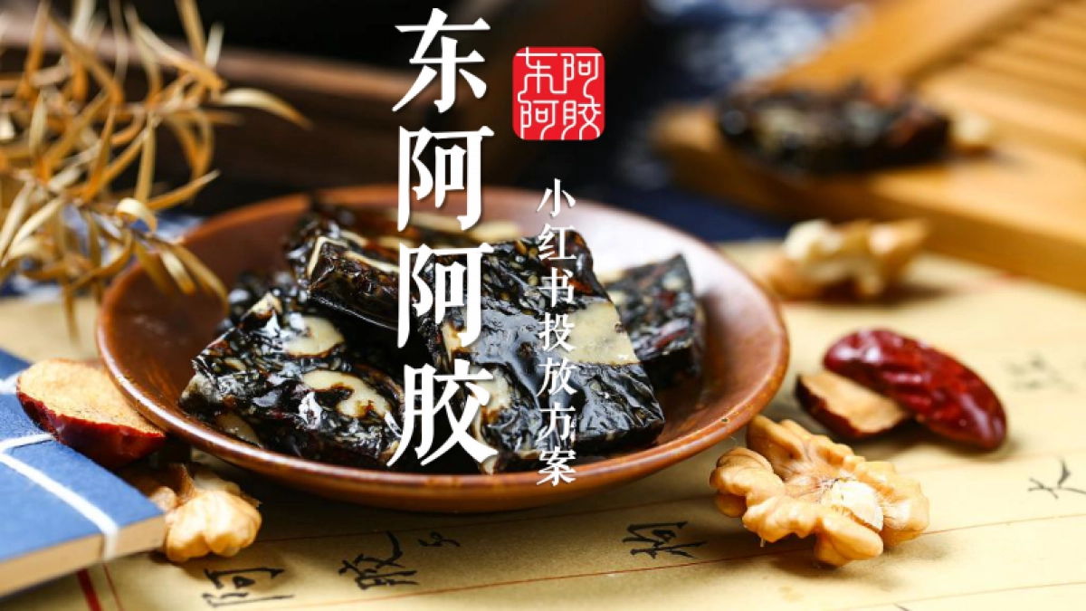 东阿阿胶小红书投放方案_第1页