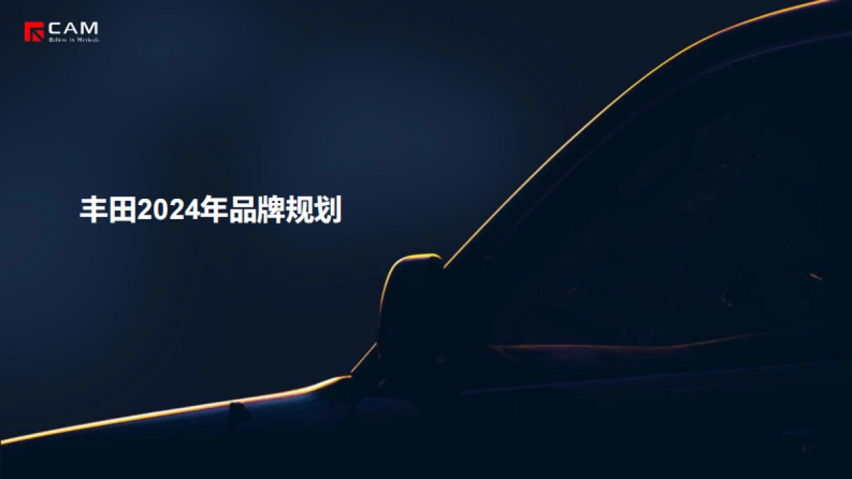 丰田发布2024年品牌规划_第1页