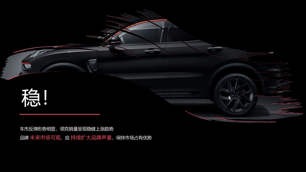 领克粤海区域营销方案_第5页