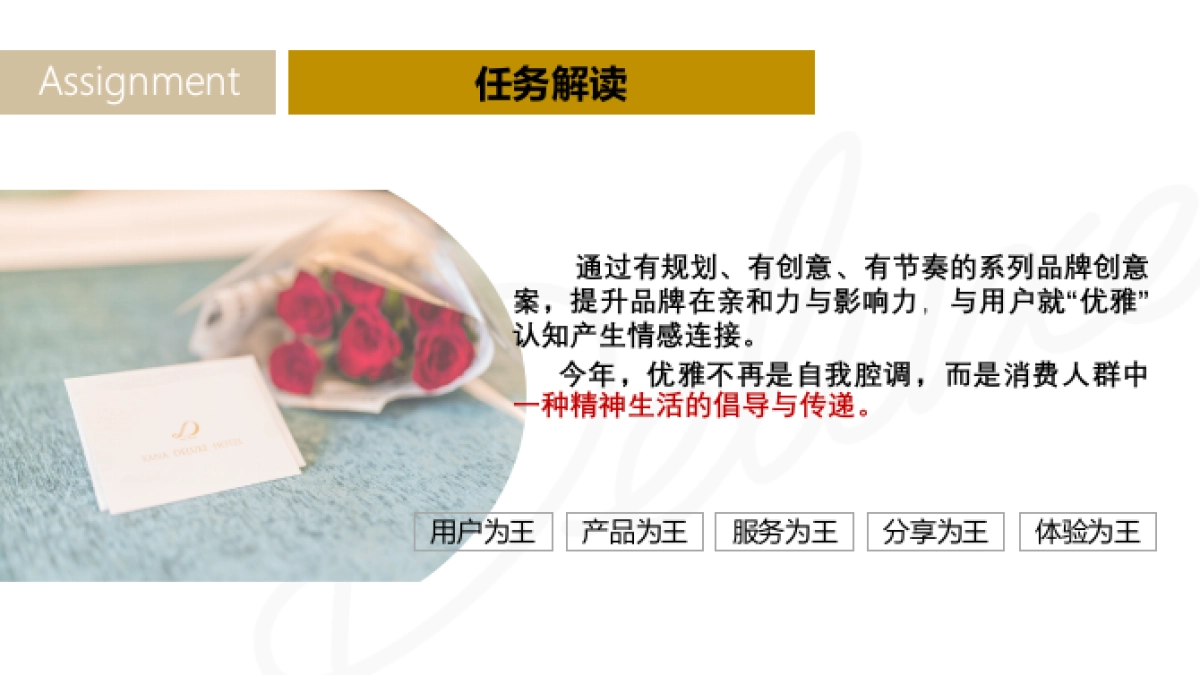 年度品牌思考提案-希岸Deluxe_第5页