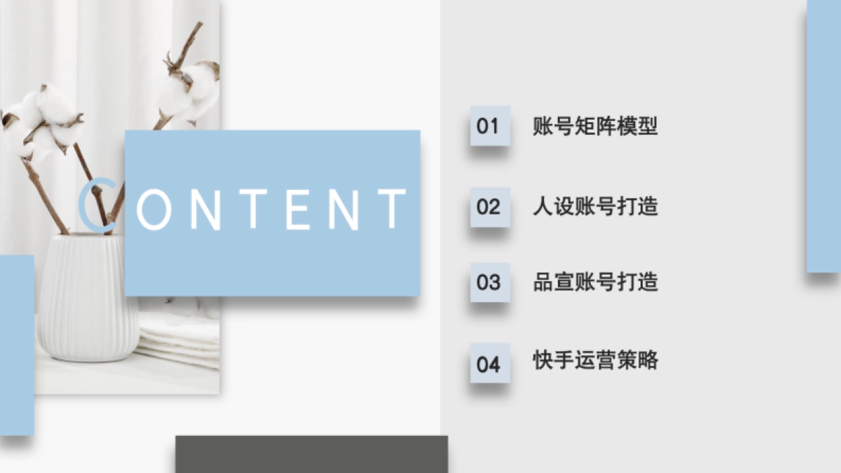 女性凝胶快手矩阵号打造方案_第2页