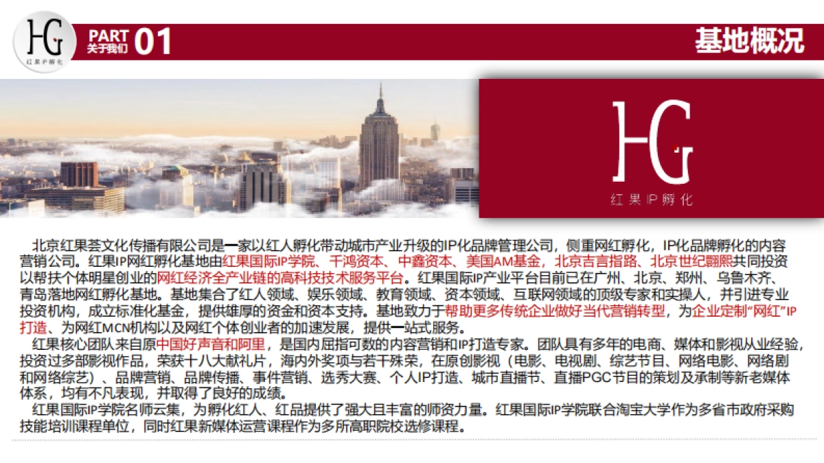 品牌手册丨红果IP孵化_第6页