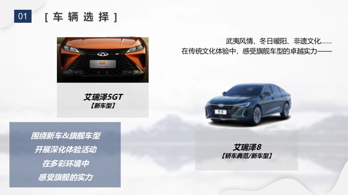 奇瑞售后服务部2022用户体验类活动-镜中风景年终站执行方案_第7页