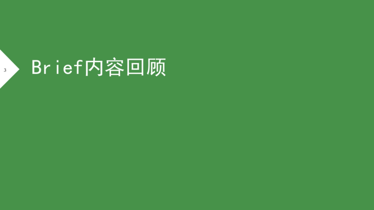 百雀羚数字媒介第二轮沟通方案_第3页