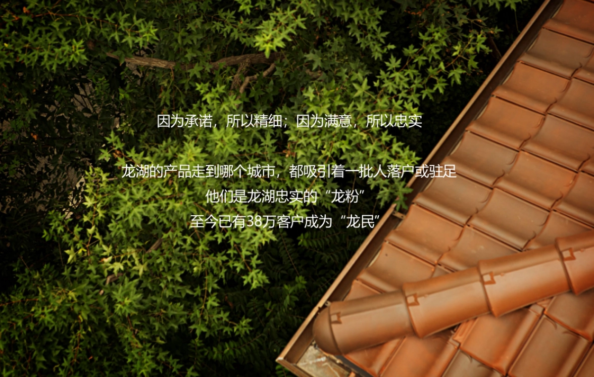 北京龙湖品牌新媒体运营方案_第9页