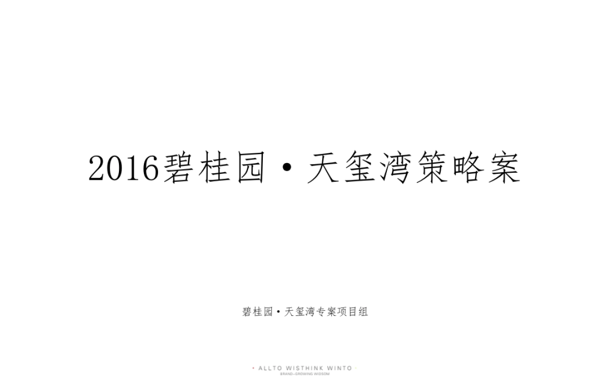 碧桂园·天玺湾策略案_第2页