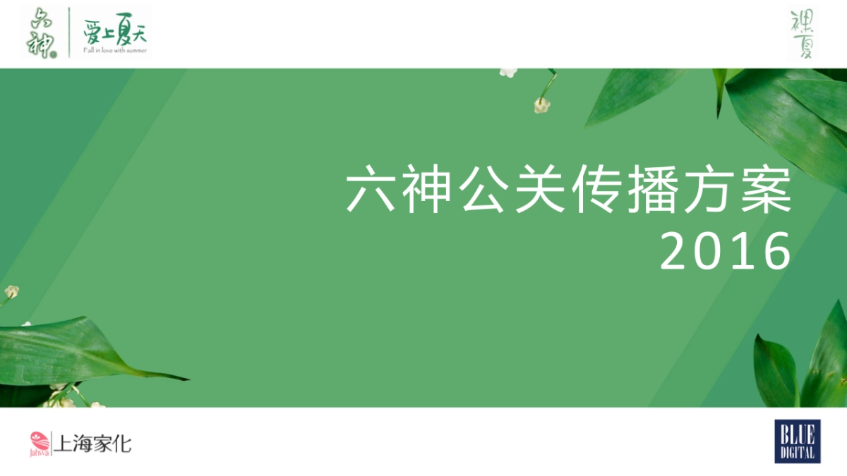 蓝色光标-六神公关传播方案_第1页