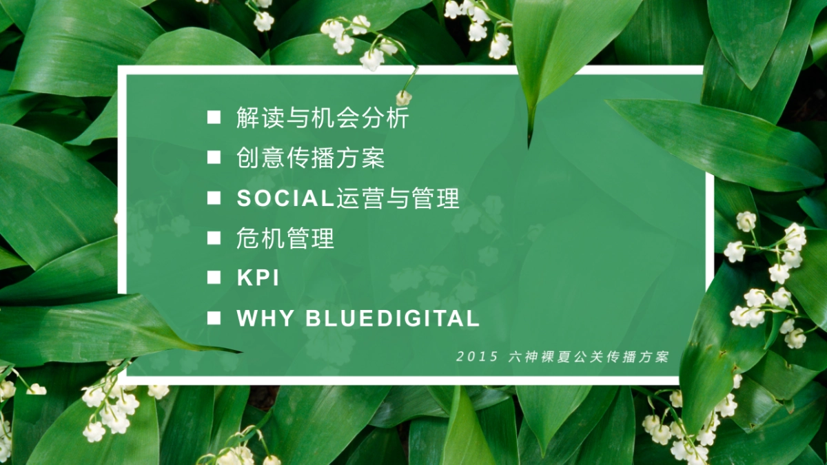 蓝色光标-六神公关传播方案_第2页