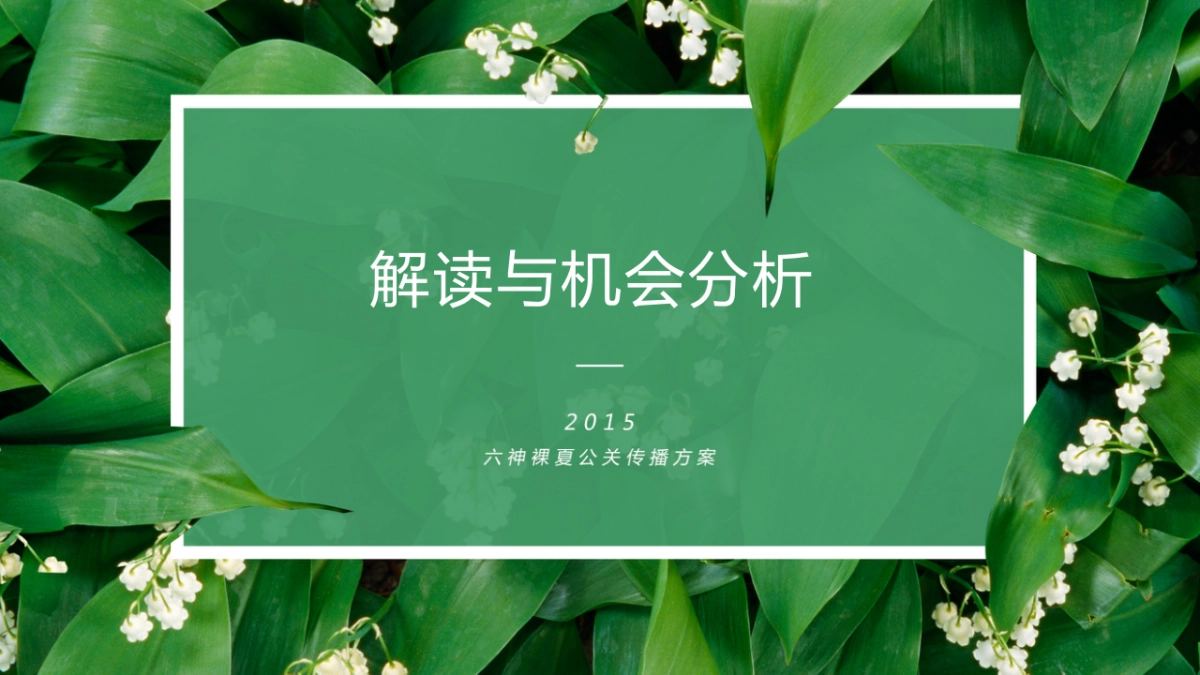 蓝色光标-六神公关传播方案_第3页