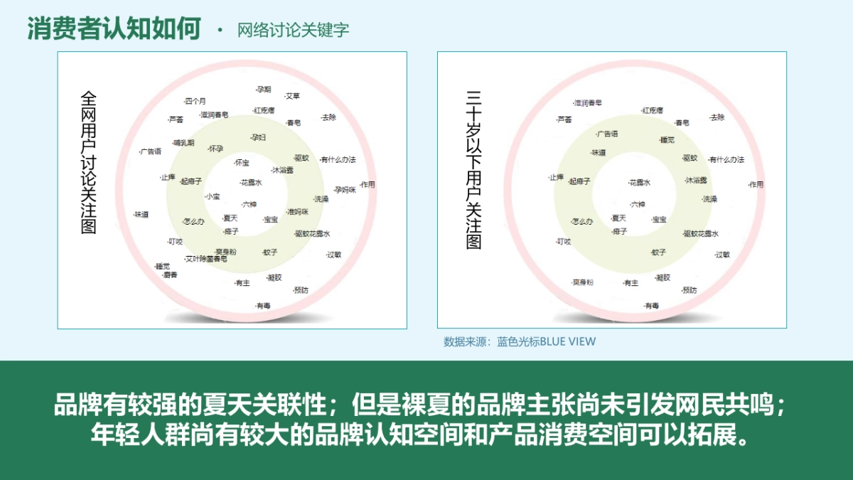 蓝色光标-六神公关传播方案_第9页
