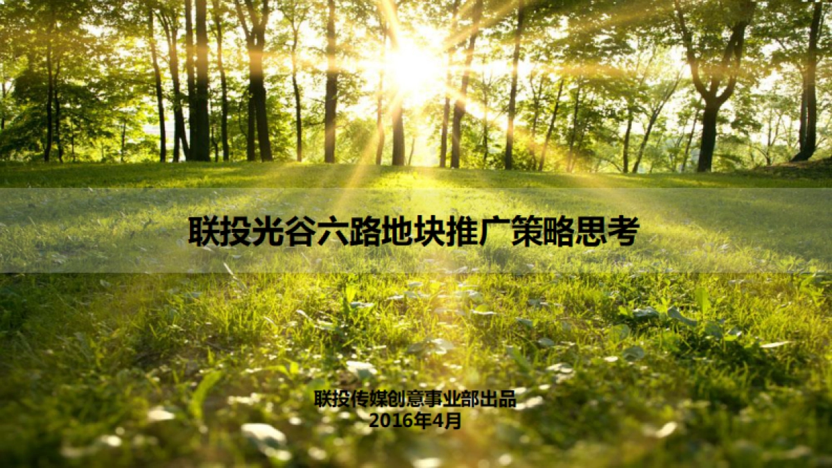 联投光谷六路地块推广策略_第2页