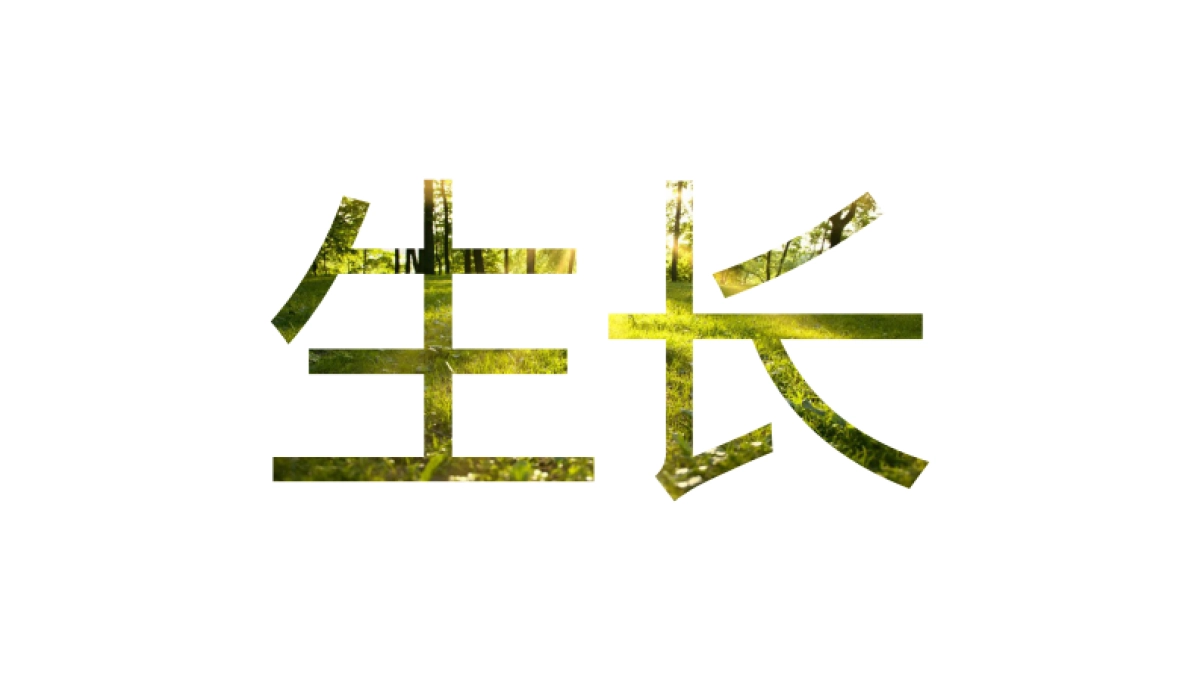 联投光谷六路地块推广策略_第3页