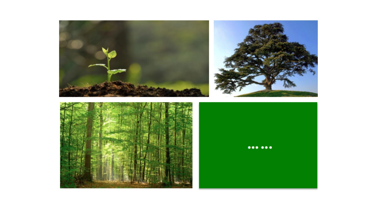 联投光谷六路地块推广策略_第5页