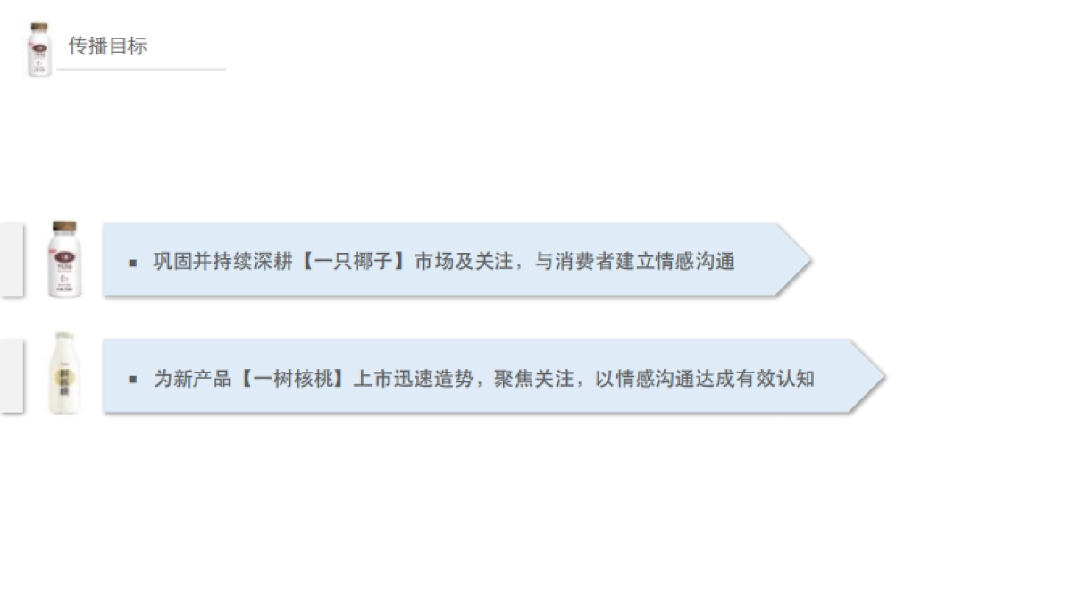光明乳业一只椰子一树核桃互动传播方案_第4页