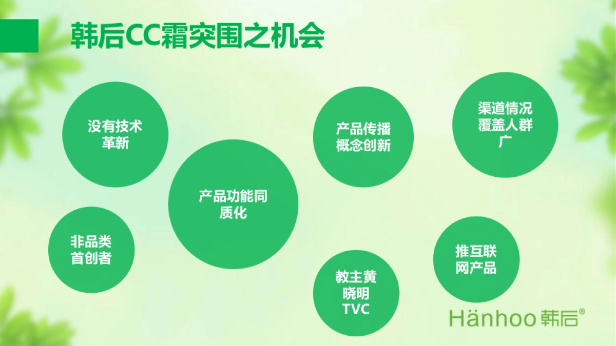 韩后cc霜数字传播方案_第5页