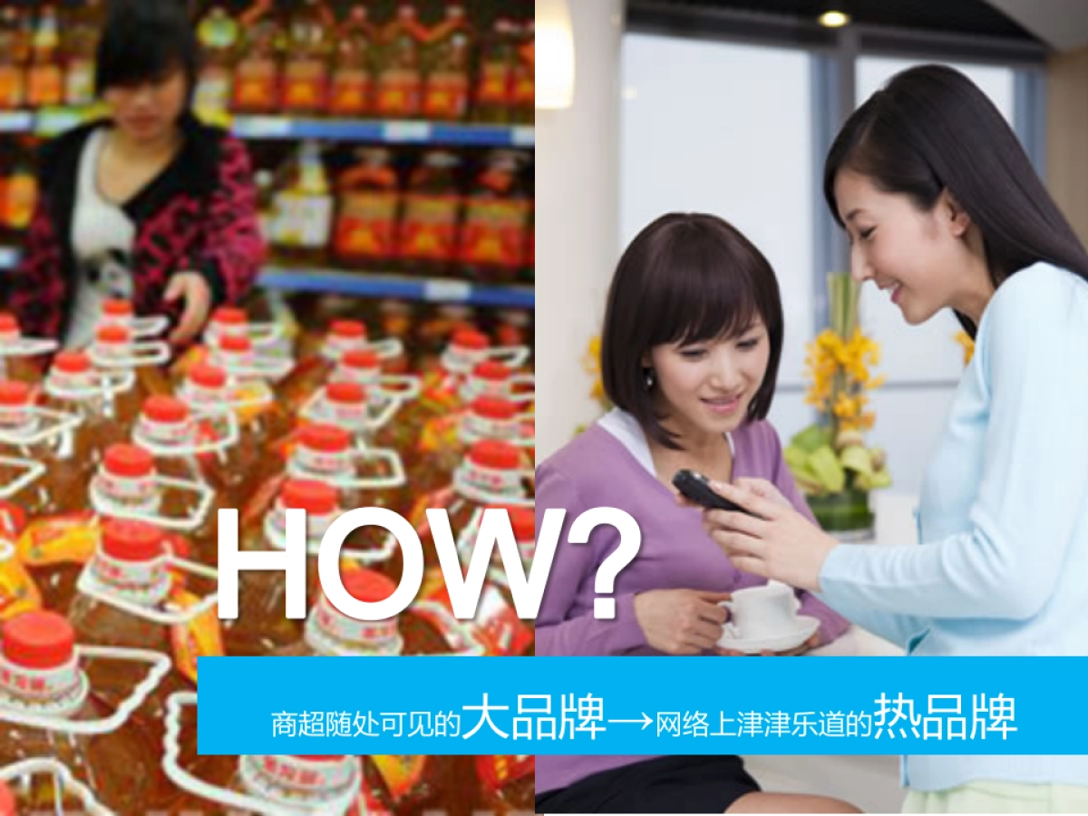 金龙鱼社会化营销方案_第3页