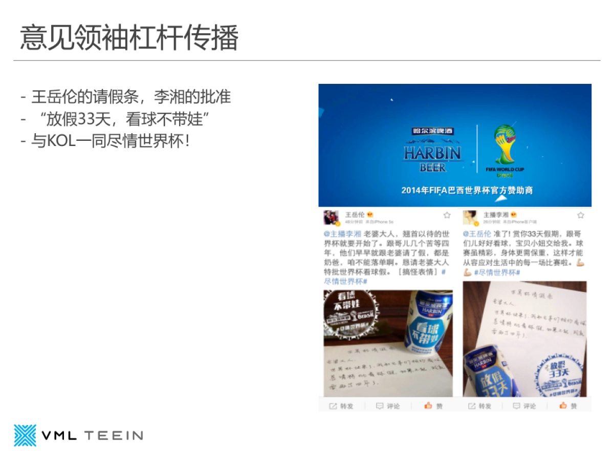 金龙鱼社会化营销方案_第8页