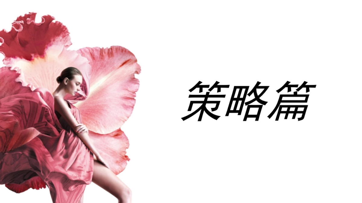 海购电商平台莎莎网年度品牌推广方案_第2页