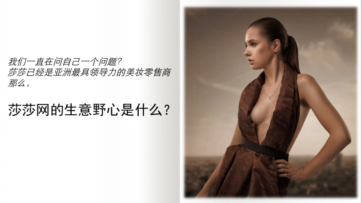 海购电商平台莎莎网年度品牌推广方案_第3页