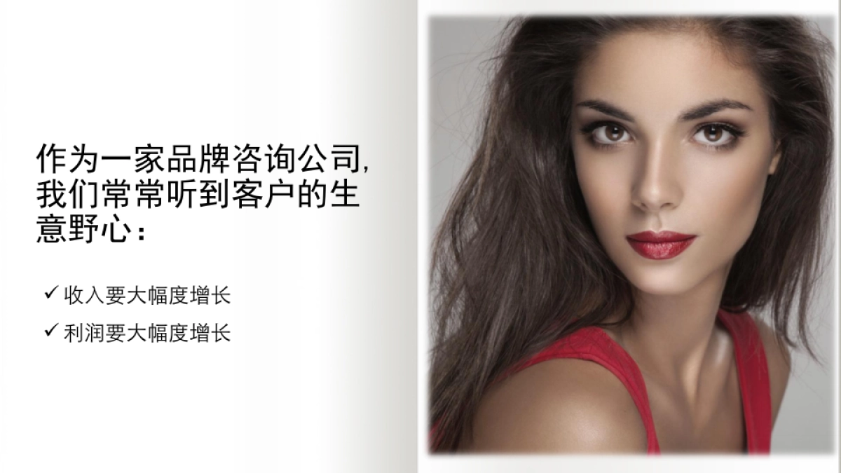 海购电商平台莎莎网年度品牌推广方案_第4页