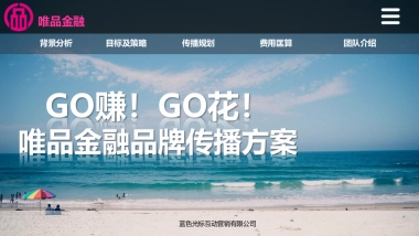 唯品金融品牌传播方案