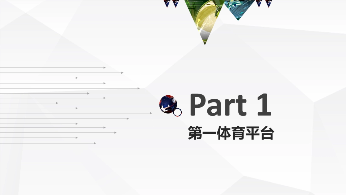 乐视体育营销方案_第3页