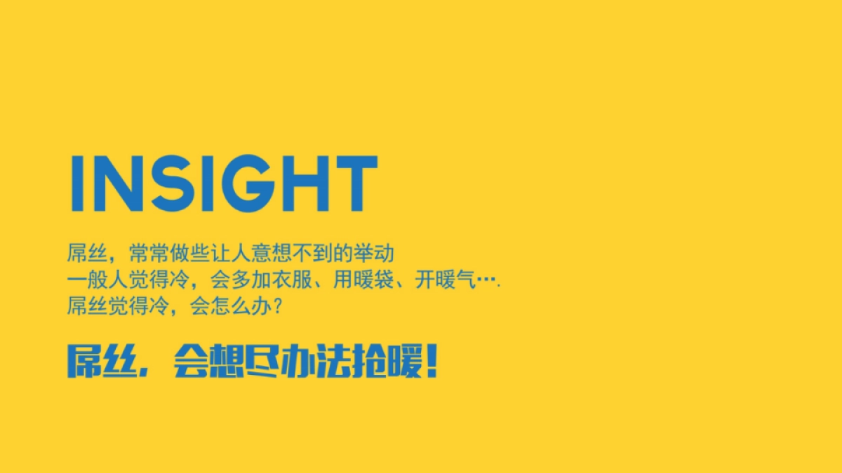 脉动金桔姜口味冬日上市传播方案_第9页