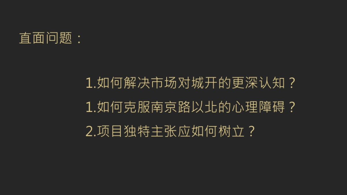 城开首府整合传播案_第2页