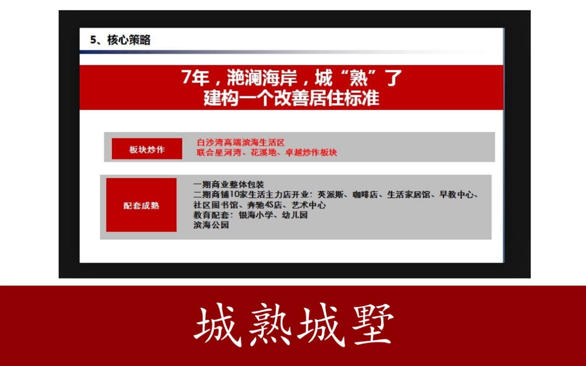 龙湖推广沟通方案_第10页