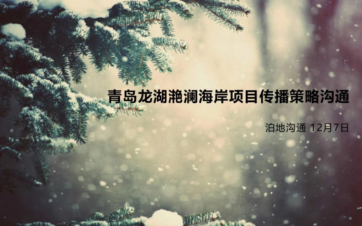 龙湖推广沟通方案_第5页