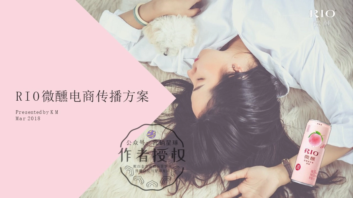 RIO酒微醺电商传播方案_第1页