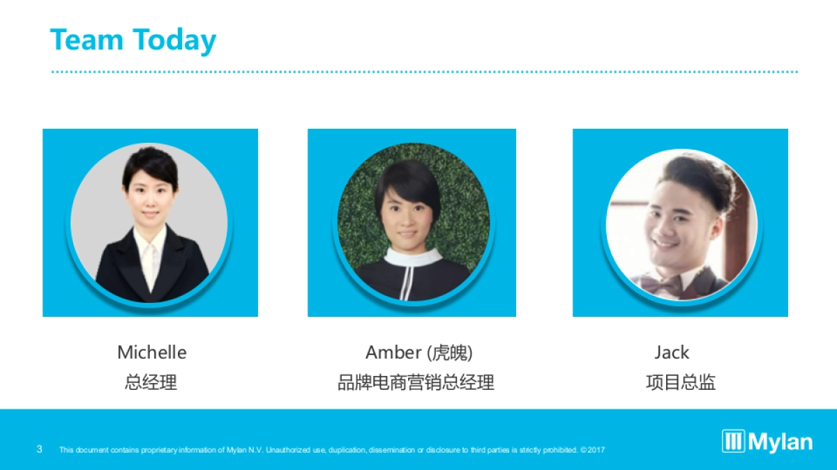 迈兰中国数字营销电商整合传播_第3页