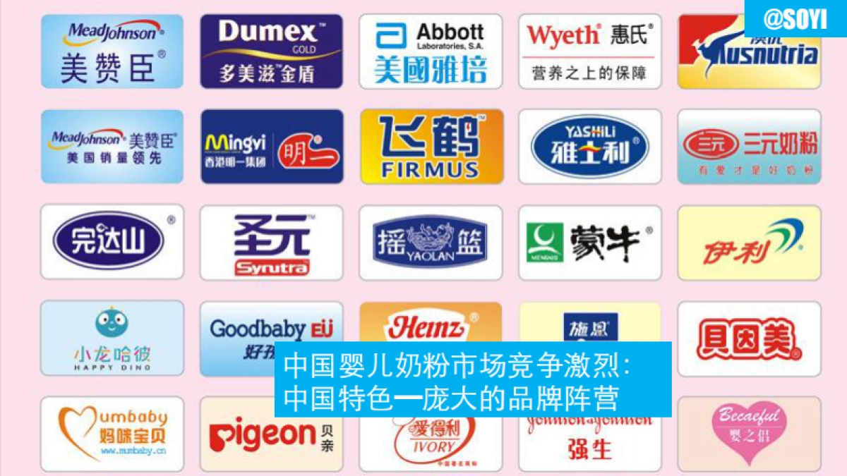 合生元素加奶粉公关传播策划案_第10页