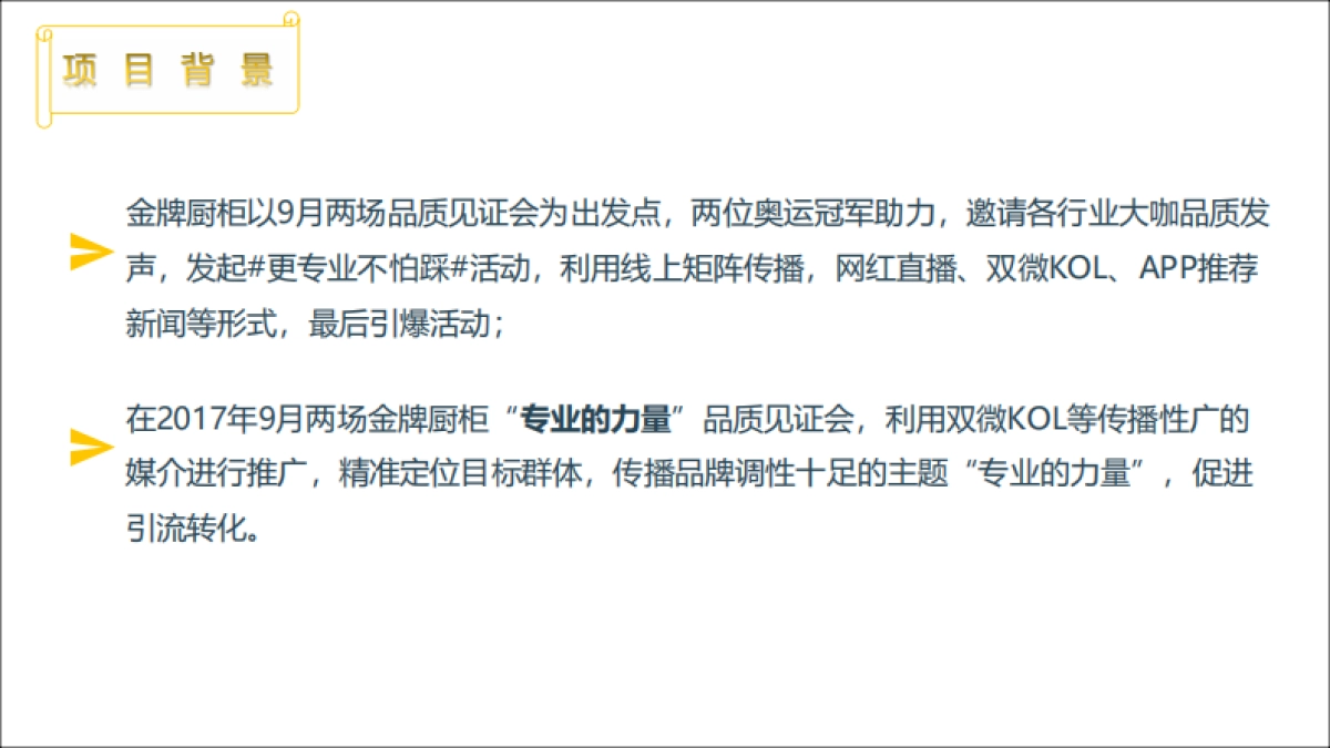 金牌厨柜公关传播项目总结_第4页