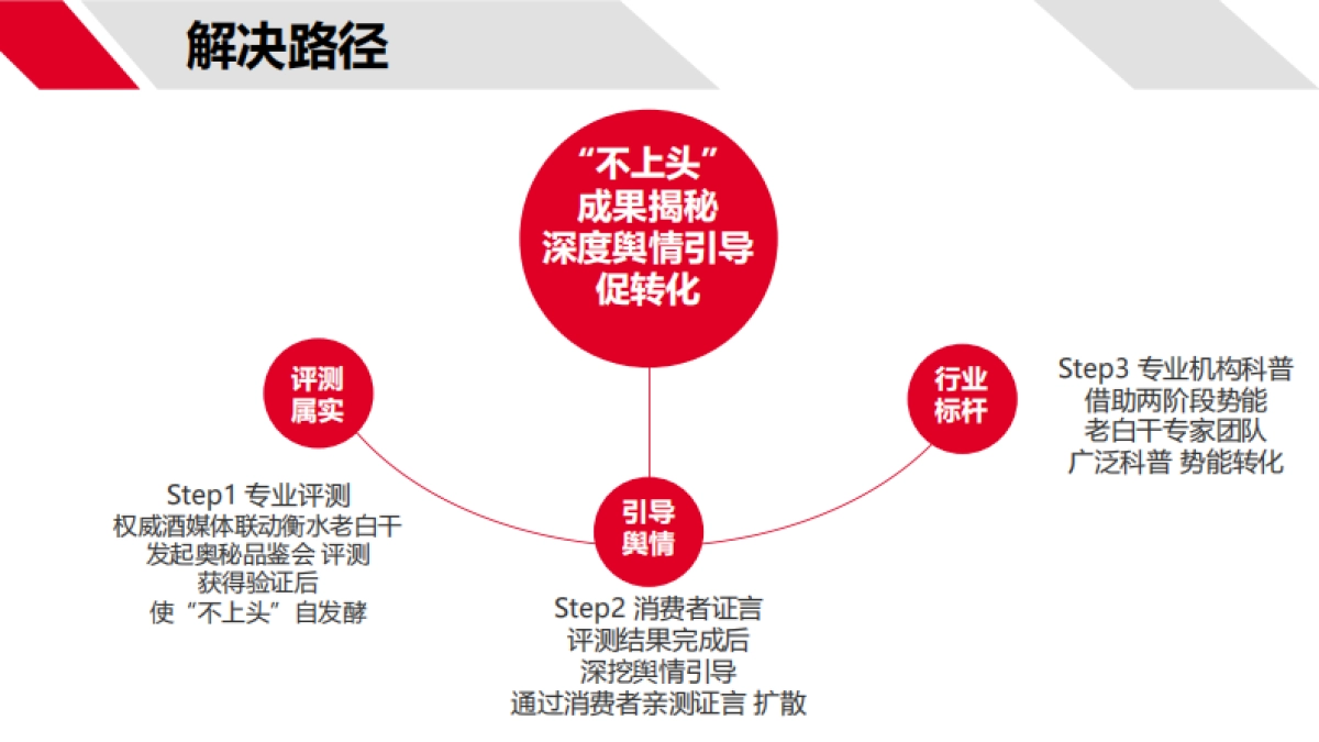 老白干公关传播事件传播方案_第7页