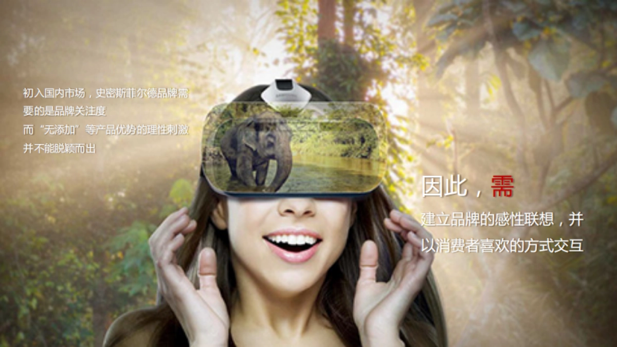 史密斯菲尔德Smithfield公关传播执行规划_第8页