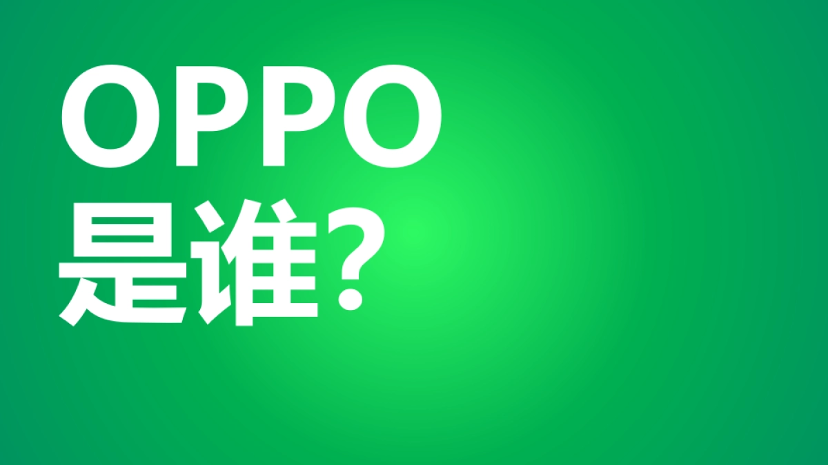 OOPO年度公关传播方案博雅公关_第2页