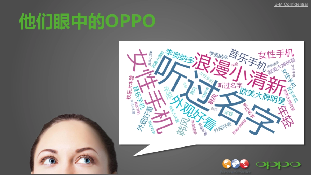 OOPO年度公关传播方案博雅公关_第4页