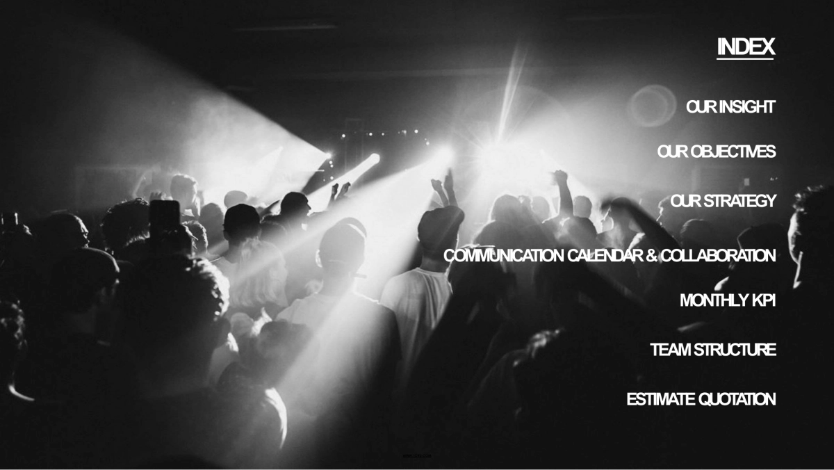 Skullcandy耳机公关传播方案_第2页