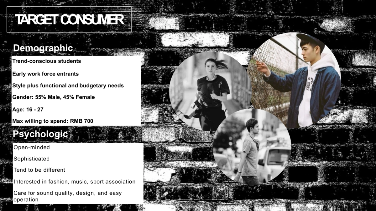 Skullcandy耳机公关传播方案_第6页