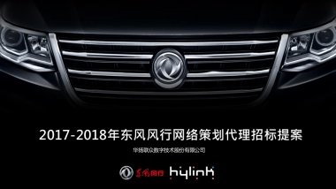 东风风行网络策划代理招标提案