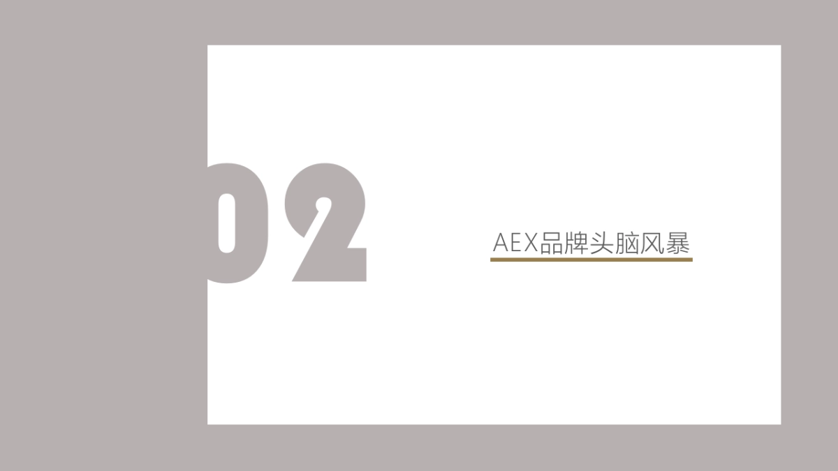2019.4奥美-AEX男装品牌2周年庆传播暨头脑风暴方案_第4页